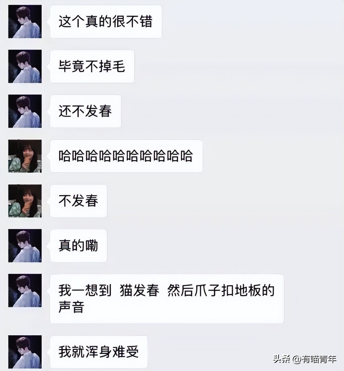 养猫的100个怪癖,养猫变态