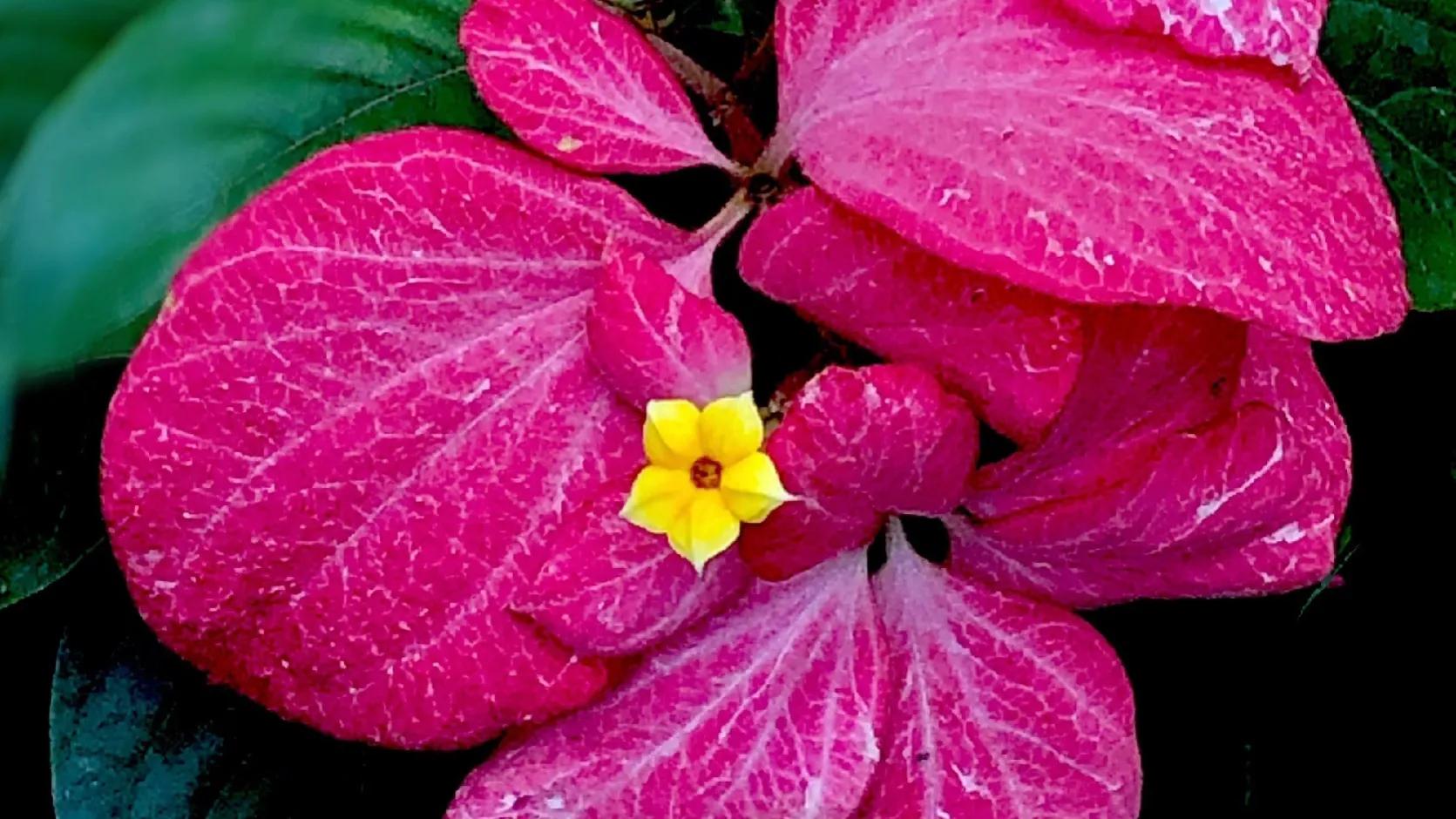 面对困难迎难而上的励志句子,人生当中最艰难的时候