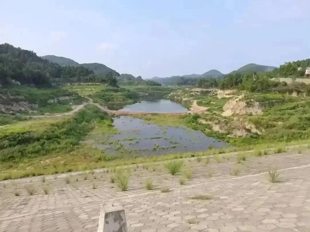 创业计划书下载,创业计划书模板大学生