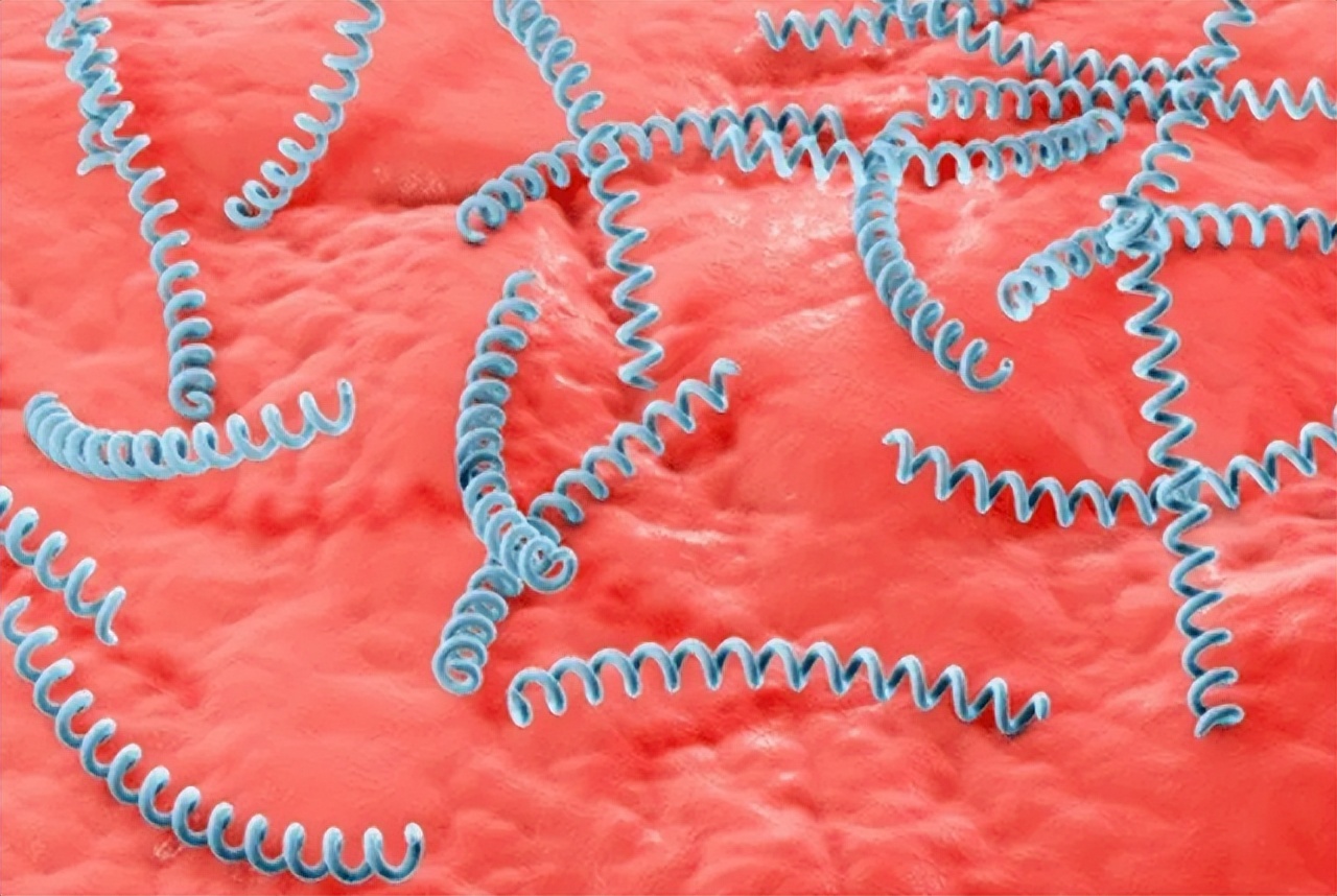 8种能通过“性传播”的病，你知道几个？建议大家多多了解学习