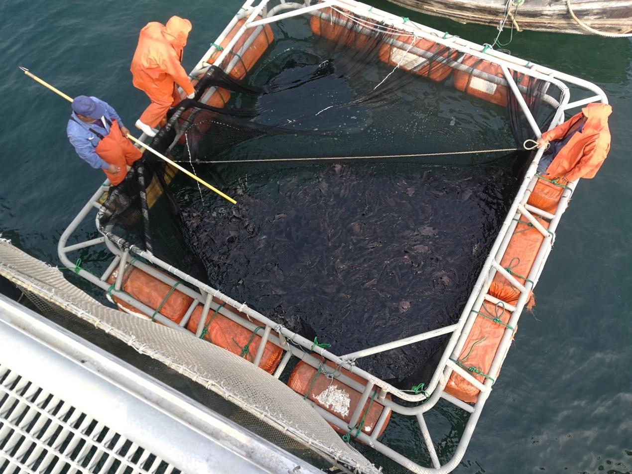 新型农业科技装备,农业新式装备视频