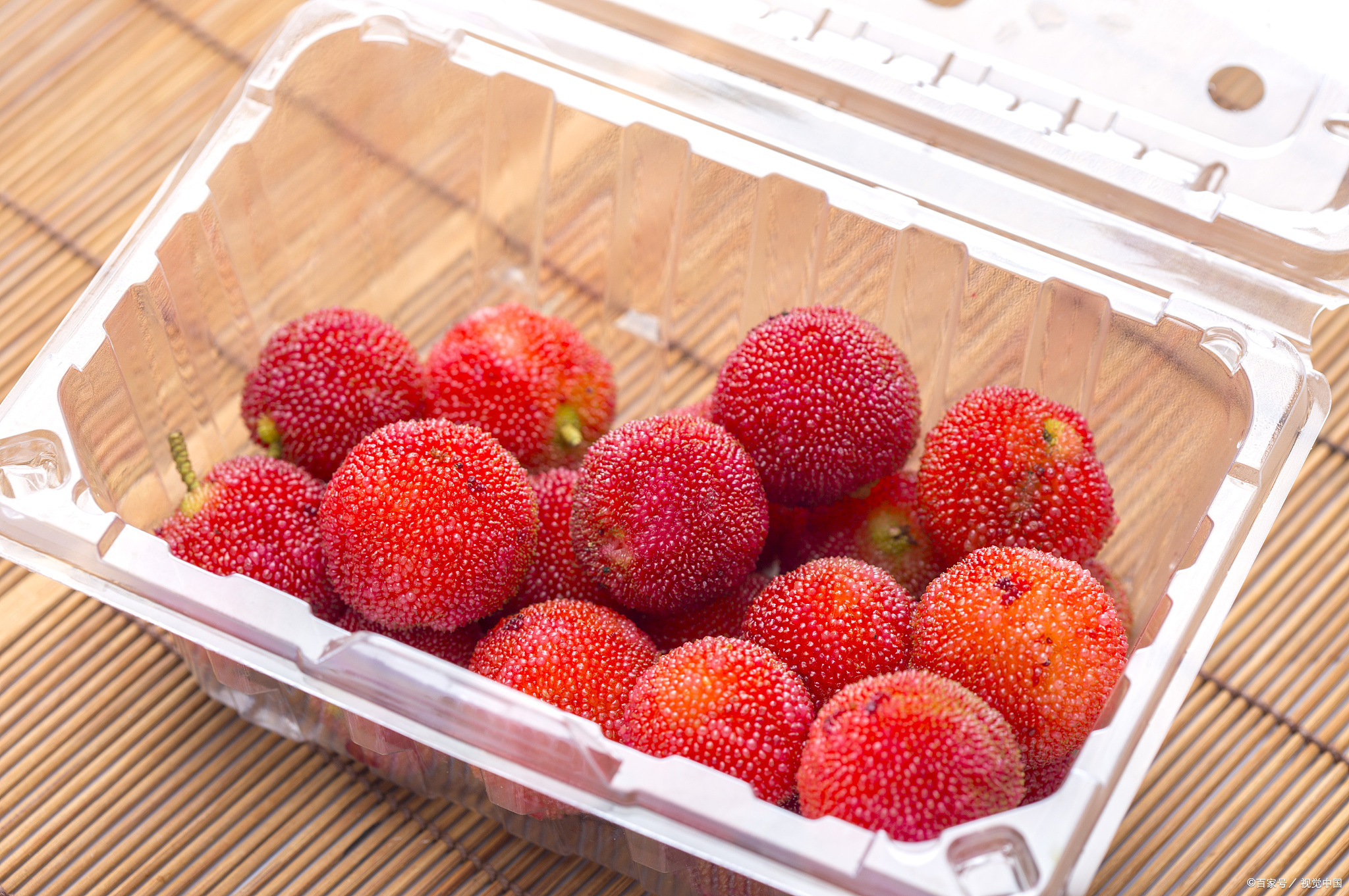 浙江的特产美食,浙江嘉兴特产有哪些可带走