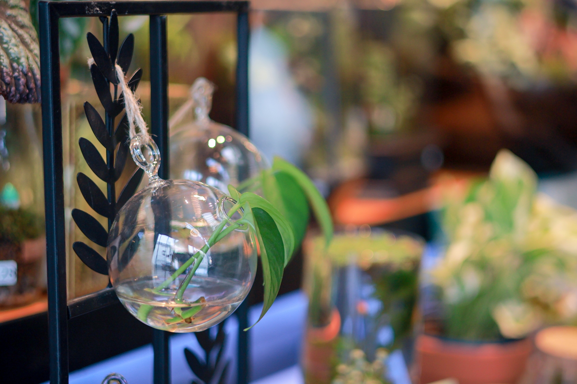 eos佳能轻便小巧,佳能微型相机eos