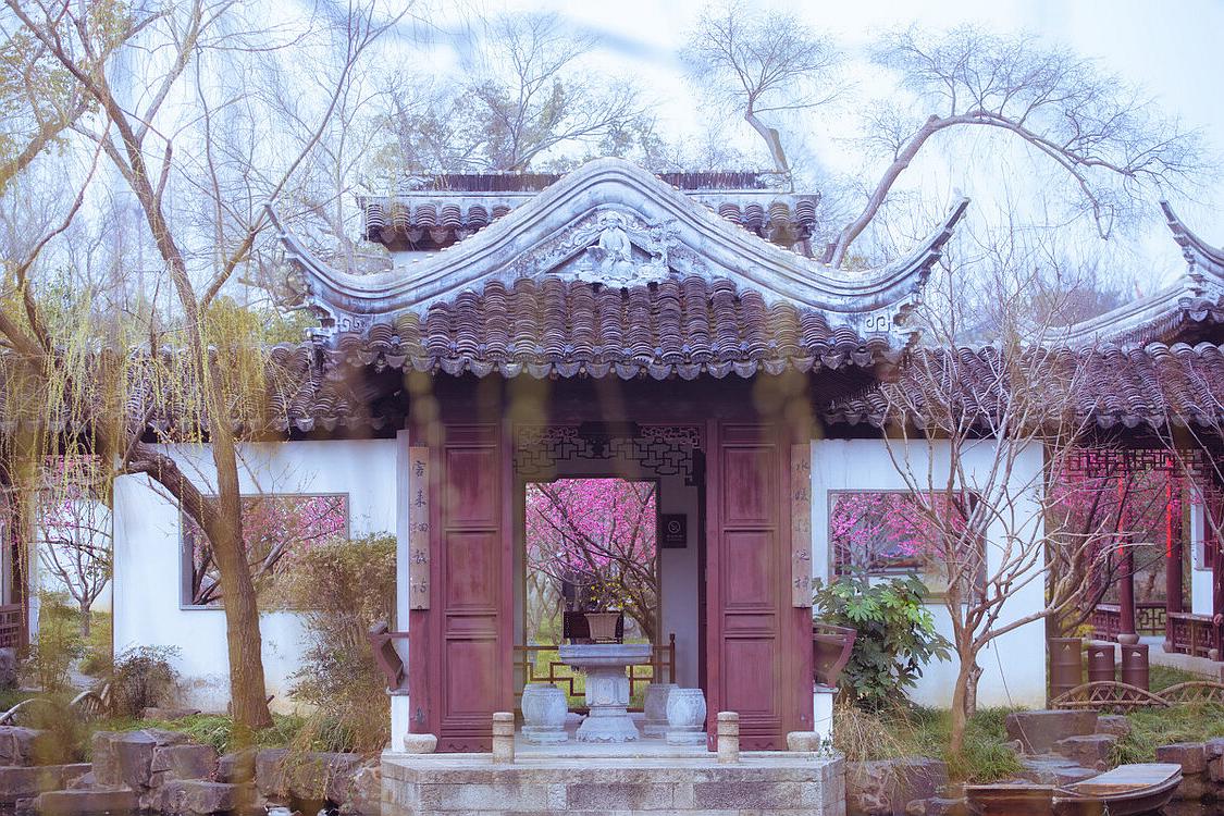 苏州旅游十大赏花景点,苏州赏花最佳景区排名