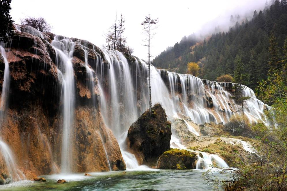 Ta的最佳观赏期到了,这个夏天安排上!