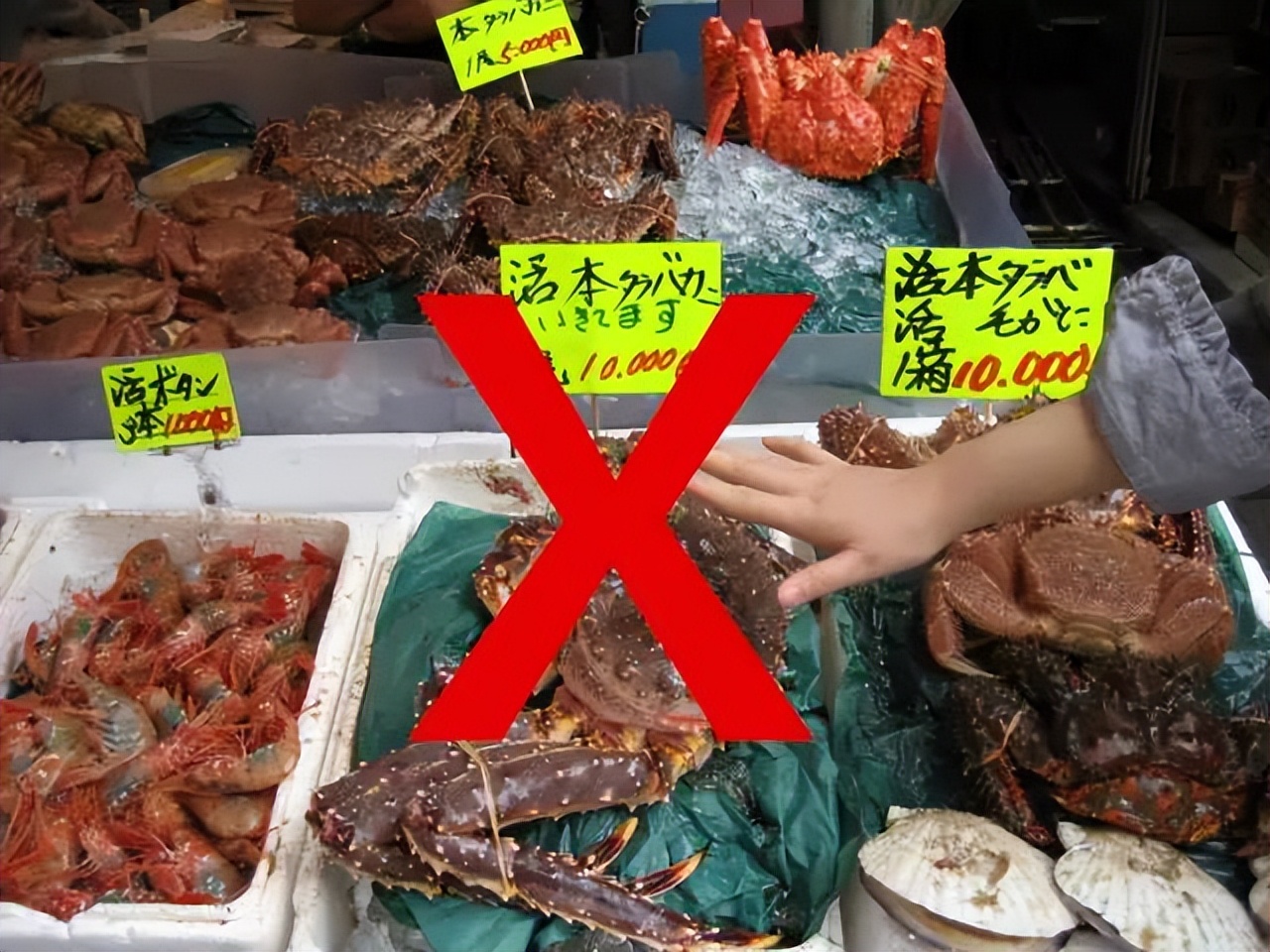 日本的海鲜还能进入中国市场吗,日本海鲜从哪里流入中国市场的