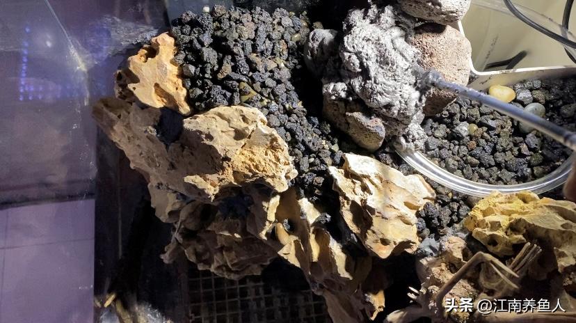 造景缸跟水陆缸一体缸,长方形的缸怎么造景水陆缸