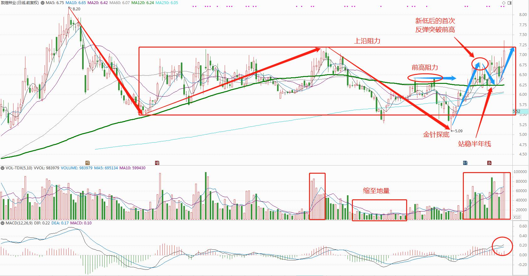 种业龙头股排名000998,种业龙头股有哪些股票可以买