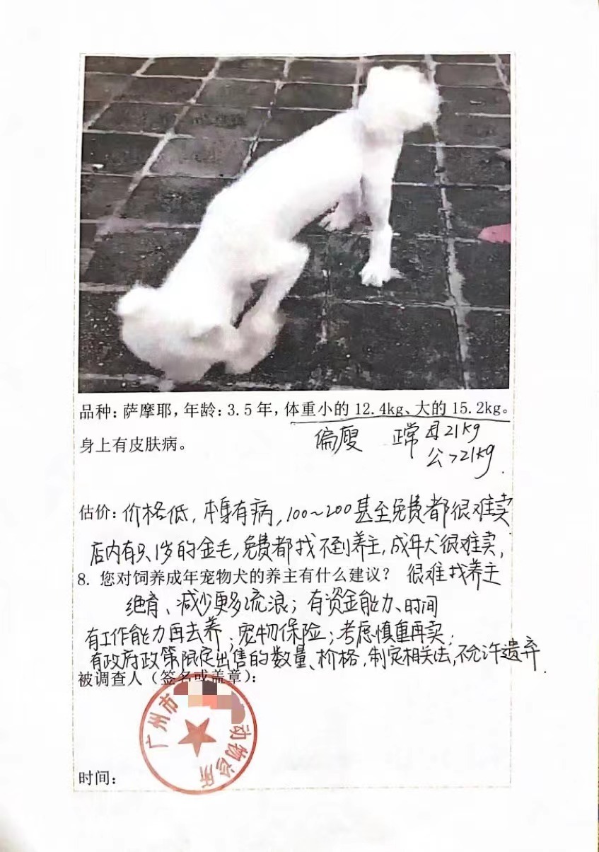 夫妻救助两条弃犬被控盗窃罪文书,喂养弃狗判刑后续