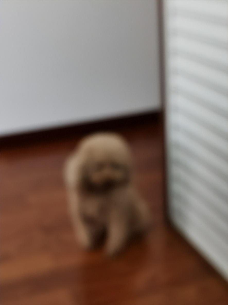 模糊的图片怎么变清晰软件免费版,sd可以把模糊图片变清晰吗