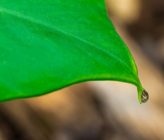 few和much区别,few和many的区别