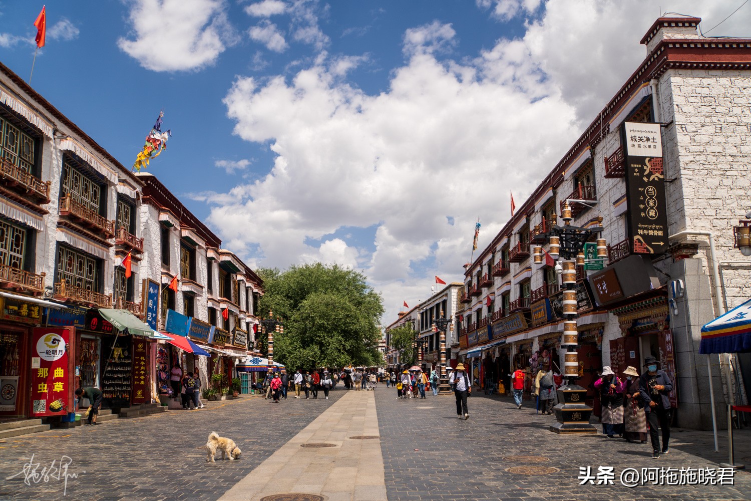 回到拉萨旅行,去拉萨的旅行攻略