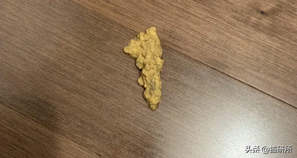 猫咪呕吐物判断表图解,怎么判断猫咪呕吐物是不是血