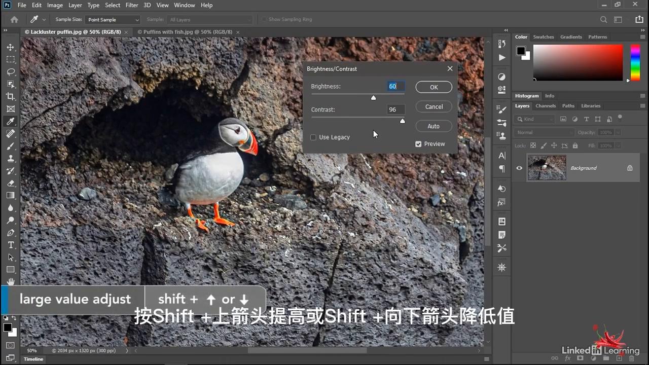 乐辣练习|亮度对比度调整技巧