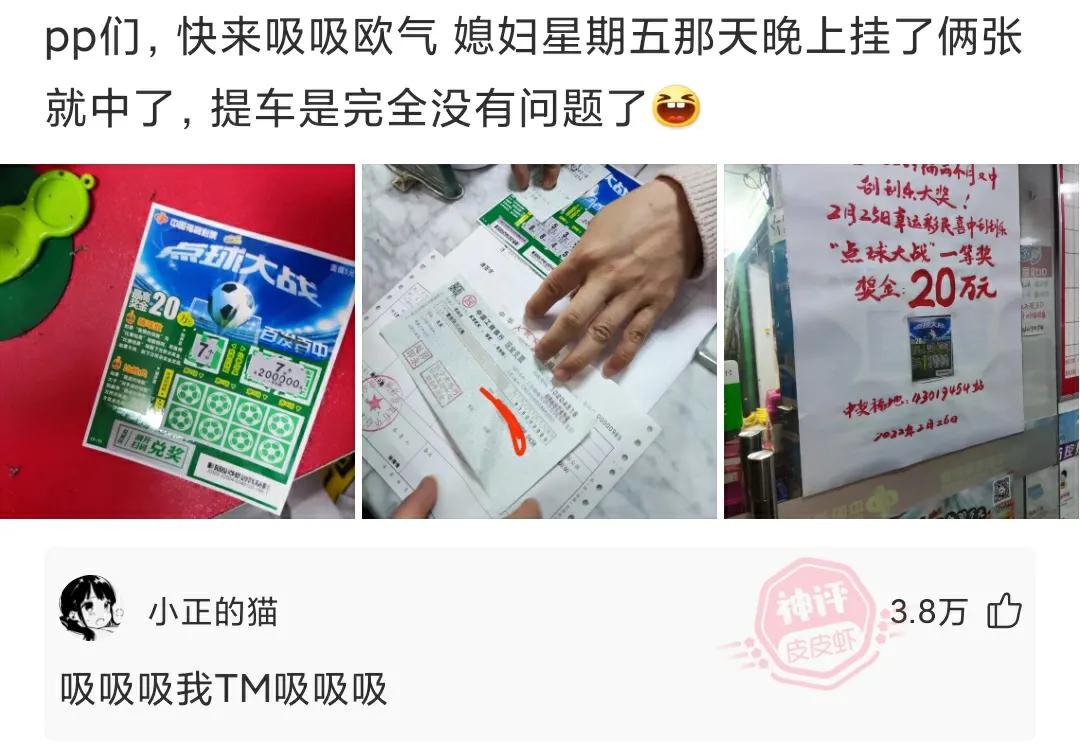 每日神回复语音,神回复每日一问