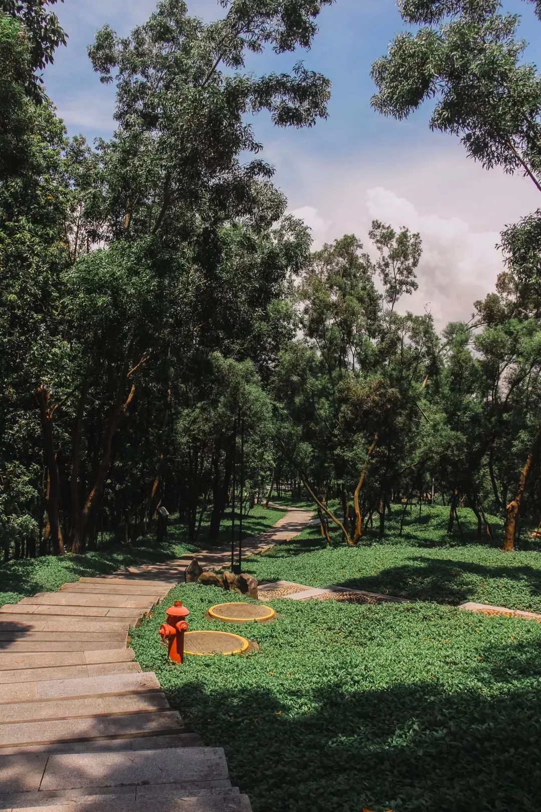 深圳10条入门登山线路推荐,深圳十大山峰最新登山攻略