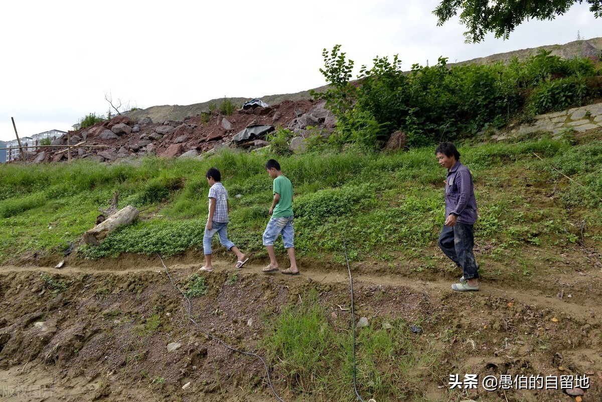 窝囊的父亲,窝囊的父亲小说