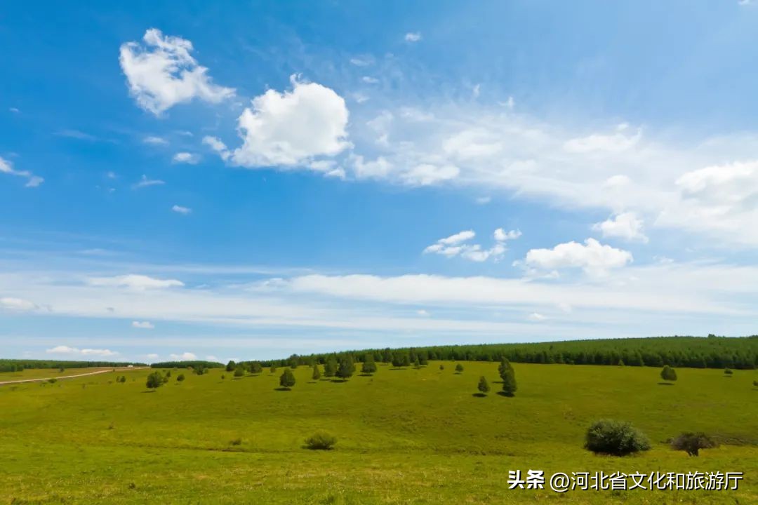 张家口露营地排行榜,河北特色露营地