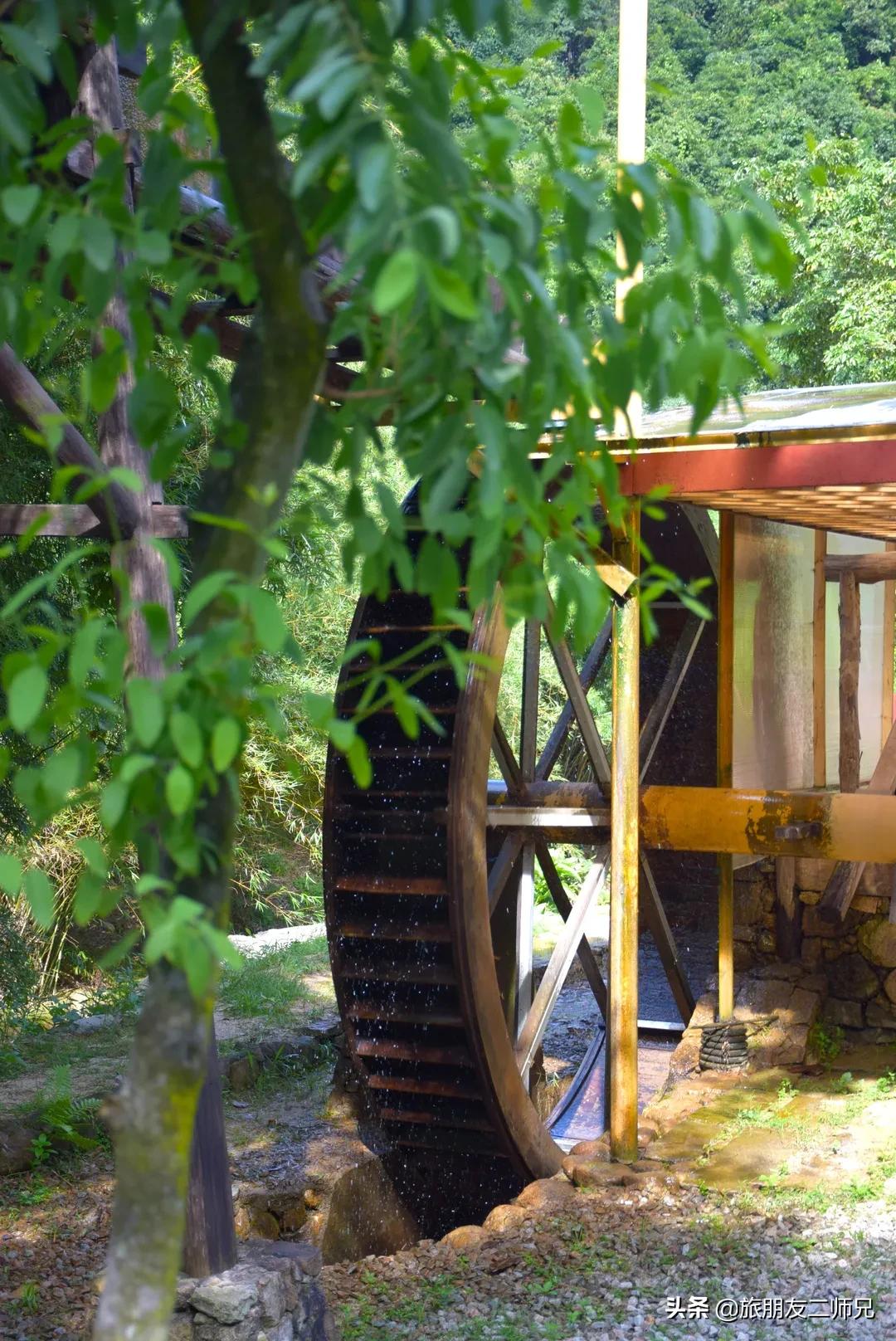 广州花都梯田油菜花,广州徒步赏油菜花路线