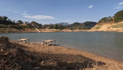 2020万峰湖野钓大罗非,万峰湖陇纳村野钓大罗非