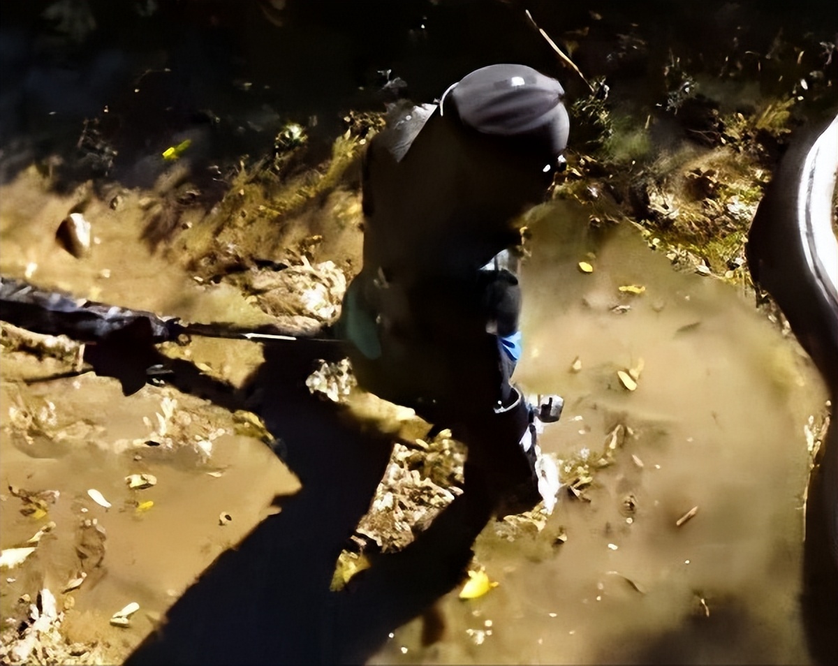 如果你突然被蛇吞下，能否划开蛇肚出逃？科学家作死实验走进蛇窝