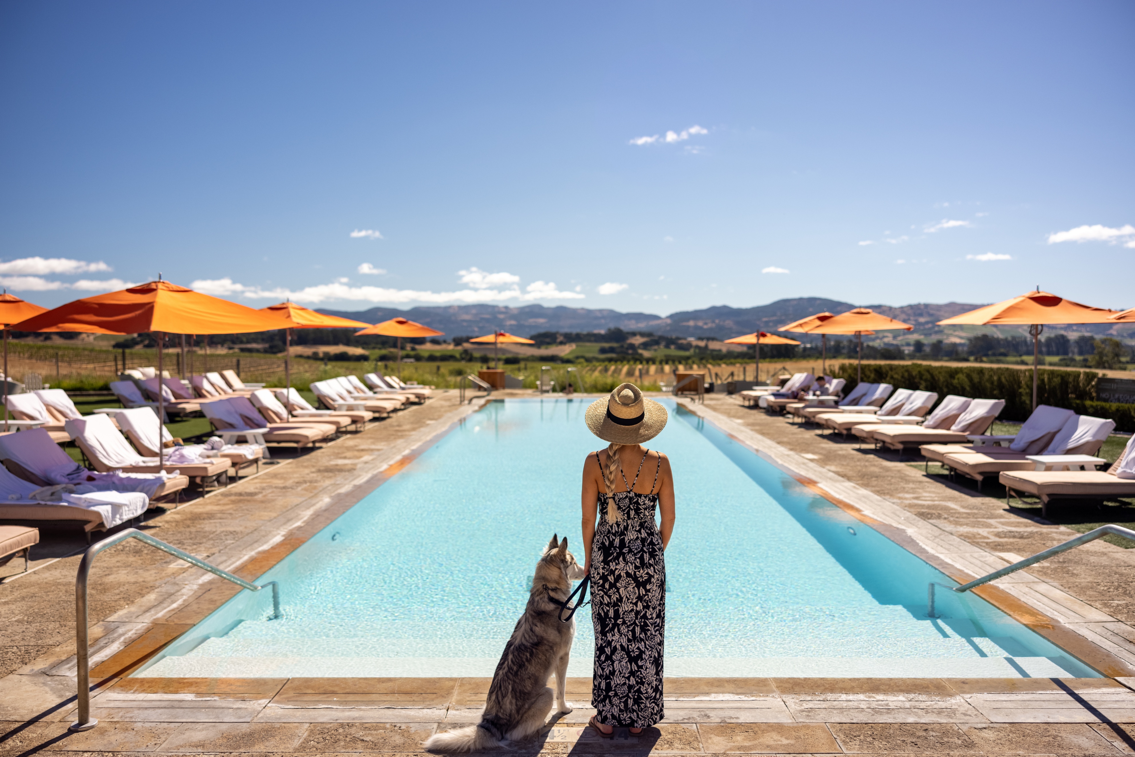 做读书博主怎么挣钱,做读书博主收获了什么