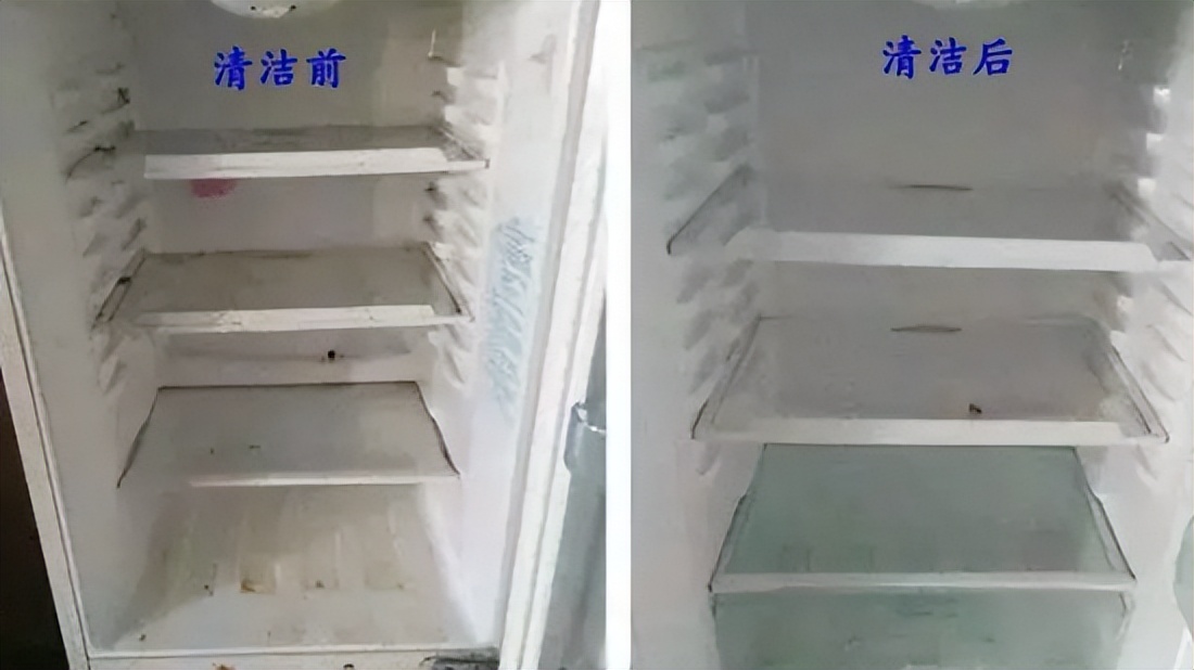 冰箱里有多脏,冰箱和马桶哪个脏
