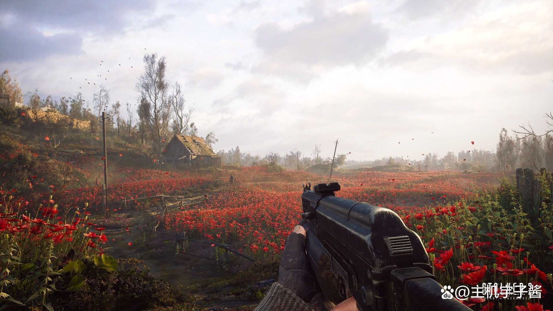 steamdeck玩星空,steam版本星空精灵