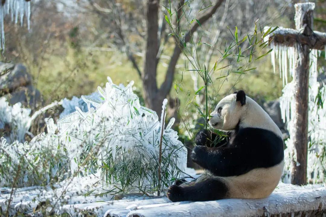 暖冬旅游路线推荐,冬日暖阳旅行攻略