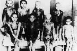 门格勒双胞胎,门格勒双胞胎实验