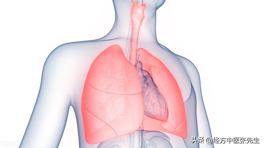 治疗肺气肿肺心病厉害的老中医,肺气肿及肺心病用什么中药