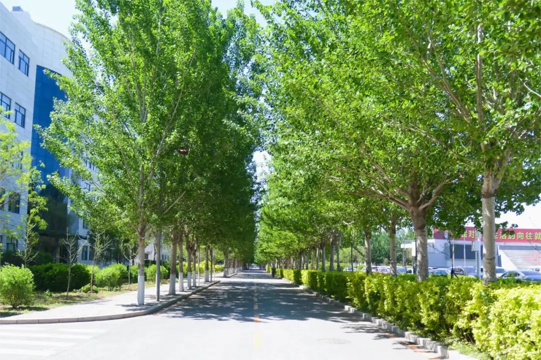 全国生态环境日主题,全国生态日绿水青山就是金山银山