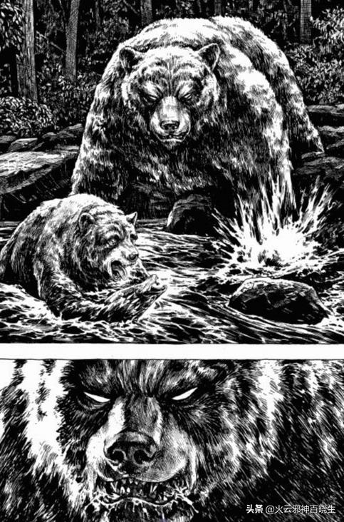 阿贡原版漫画,漫画小恐龙阿贡