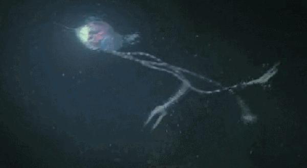 银河系真的有外星人的存在吗 (银河系最有可能有外星人的地方)