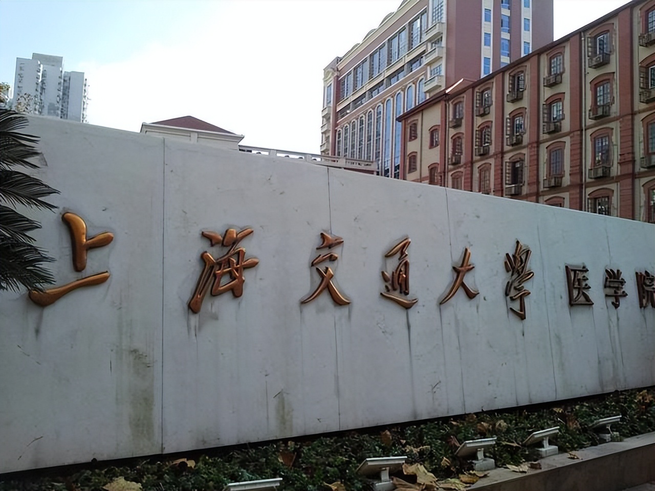 湘雅医学院为什么没有双一流,湘雅没有入选一流学科