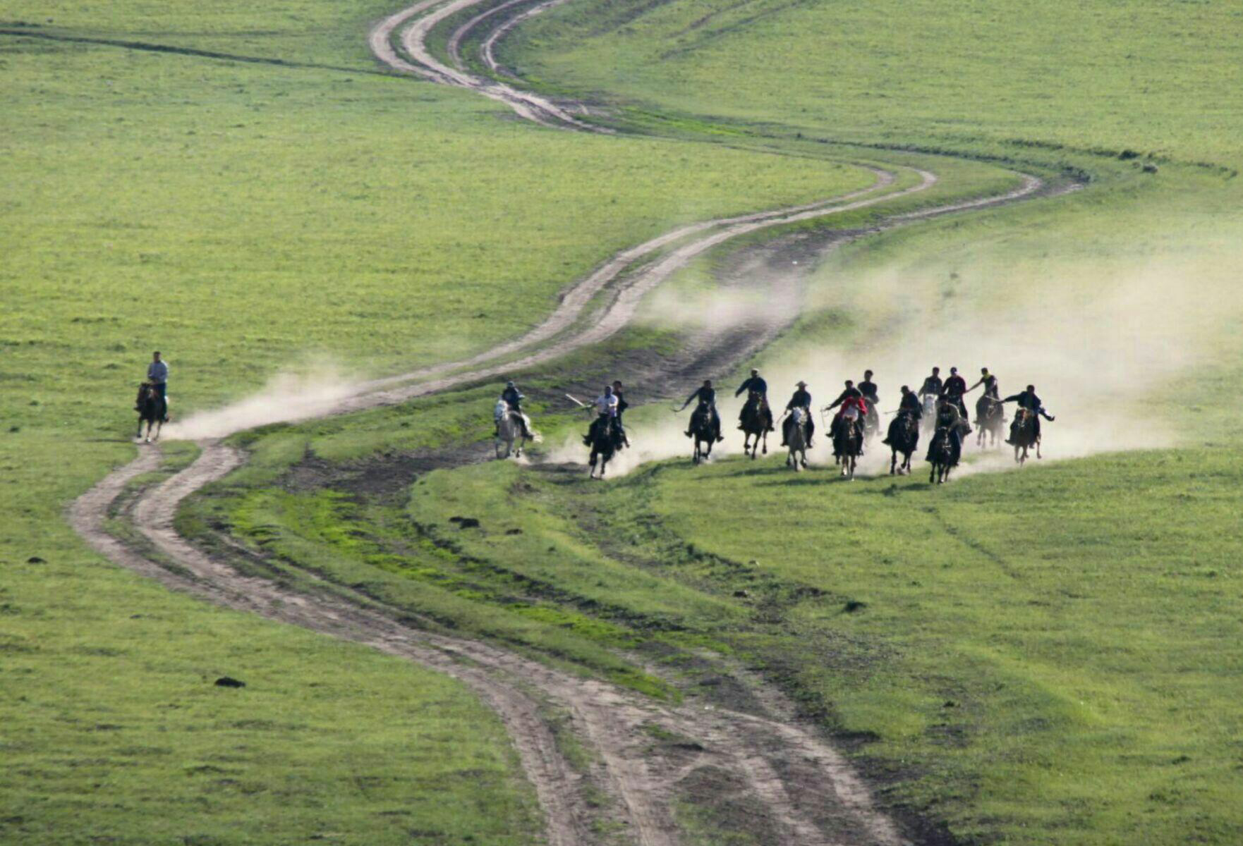 知青往事中的橡胶树林,知青往事图片