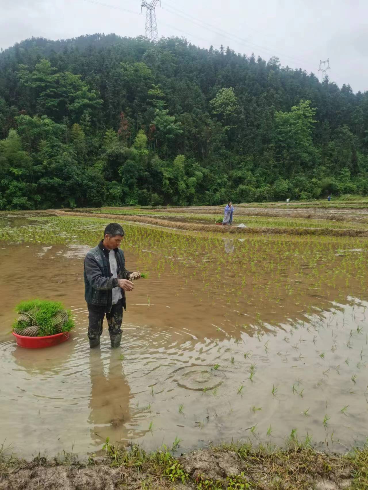 在乡下干活累死了,种地一亩地能赚500块钱吗