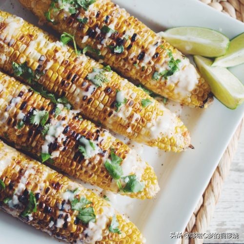 探寻世界各国烧烤的独特风味,世界各国特色烧烤