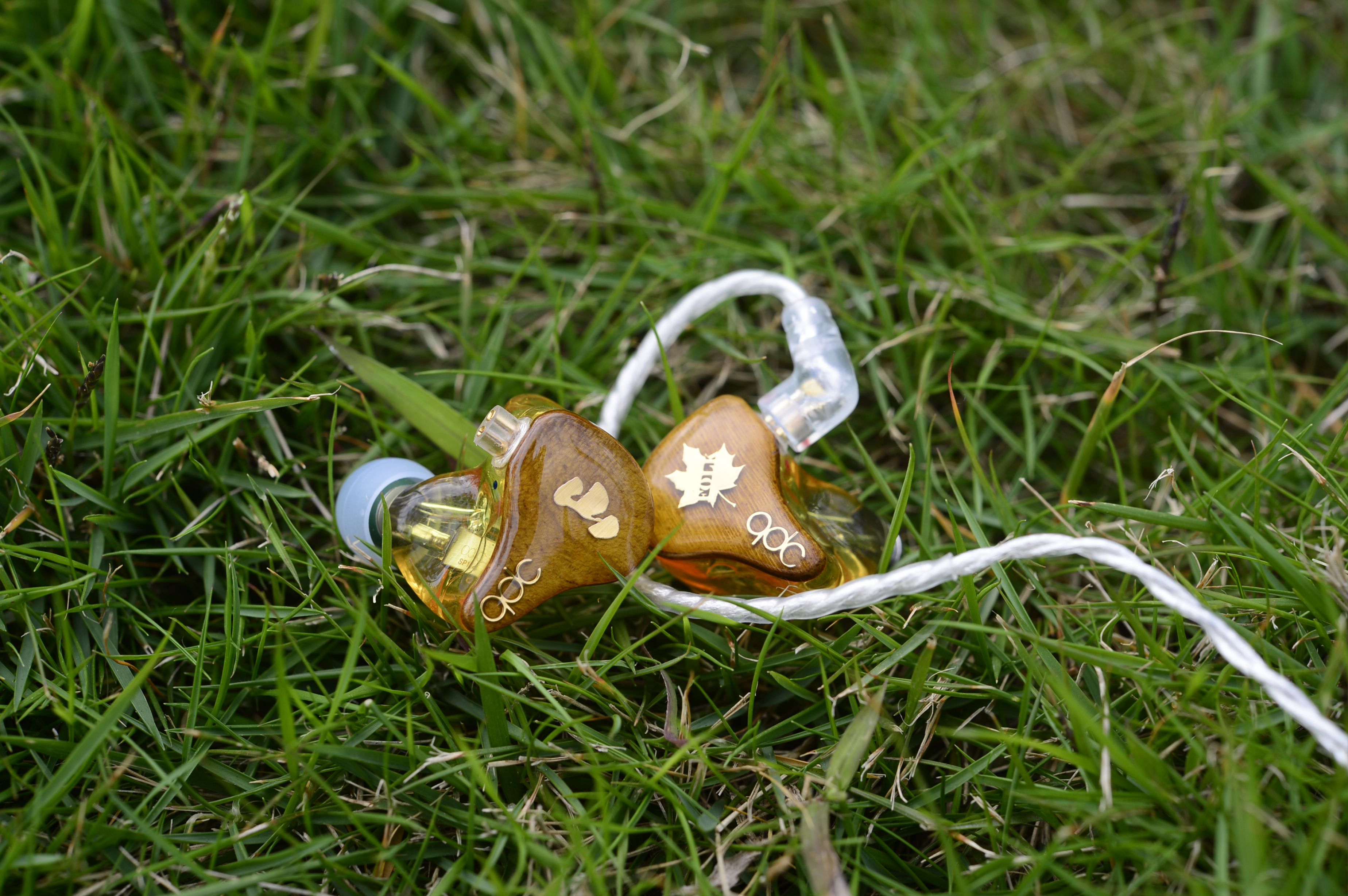 内含福利|HiFi快乐再续期！qdc与您相约北京广州