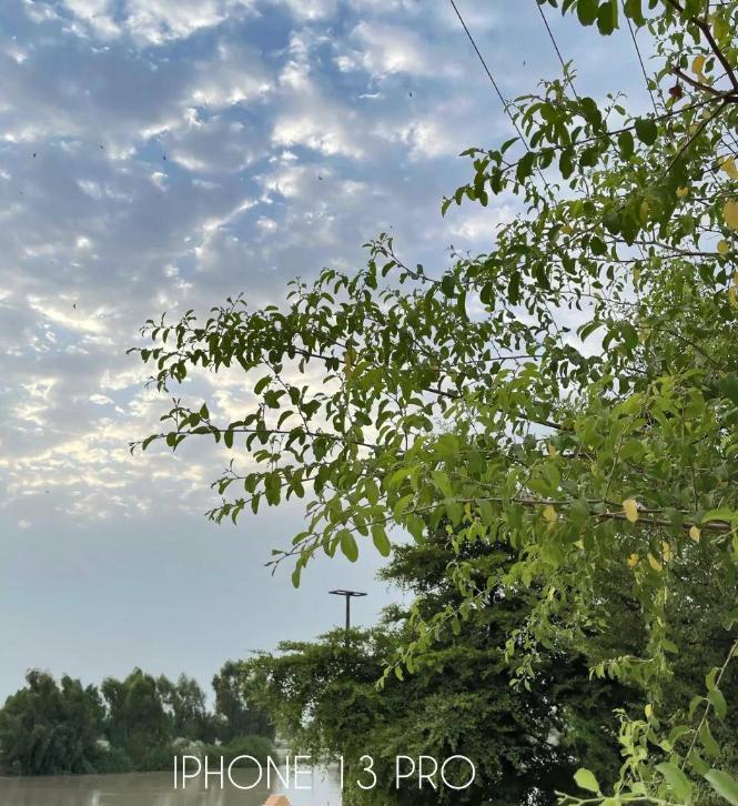 iphone拍照最好看的一款手机,iphone拍照最好看的三款手机