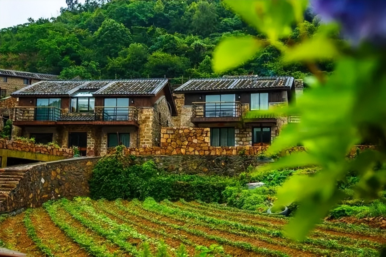 洞头海山民宿,温州洞头岛海景民宿