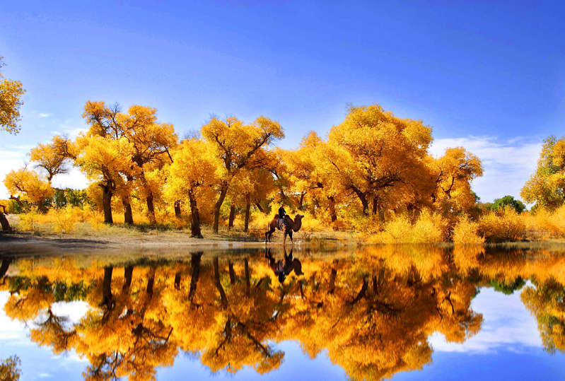 国家地理杂志25个最佳旅行目的地,国家地理杂志50个一生必去的地方