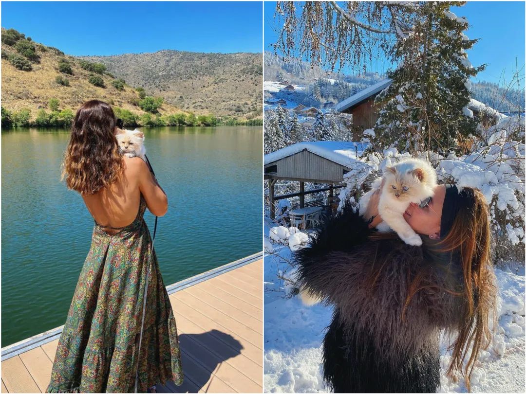 刘雯邓文迪,邓文迪杨紫琼