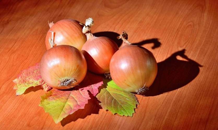 氧化锌在饲料里的作用,氧化锌纳米材料的制备