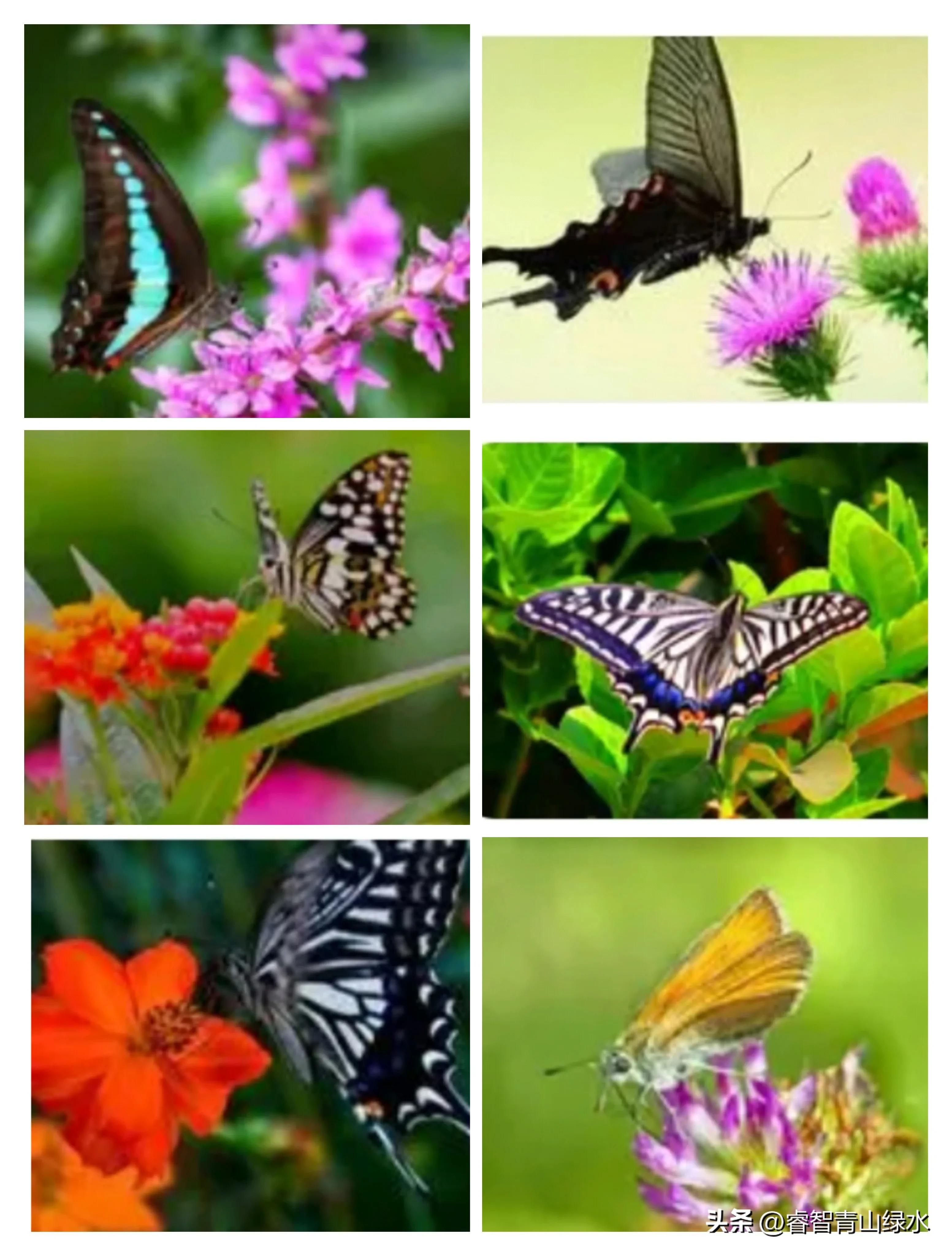 让我痴，让我醉，让我爱你没商量。