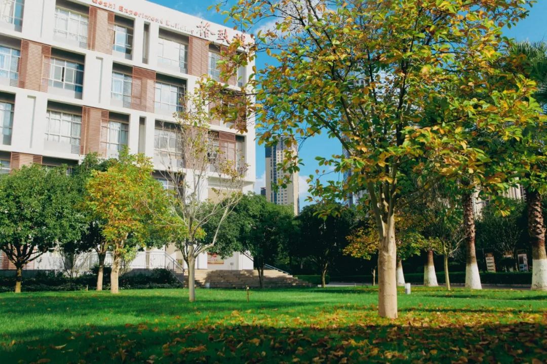 秋季限定|昆明九所学校，送你诗意校园里的一抹金