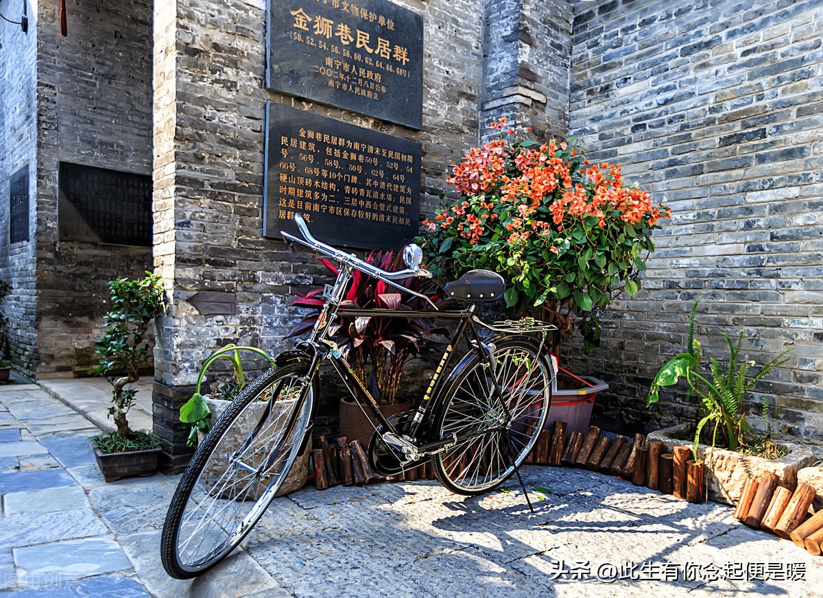 凤凰牌自行车市值多少钱,凤凰传奇2023年年收入