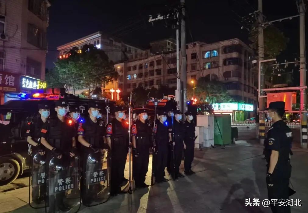 湖北公安发布百日行动阶段性战果,湖北公安百日行动