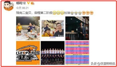 杨鸣什么失误被罚下场,杨鸣为什么不打球了