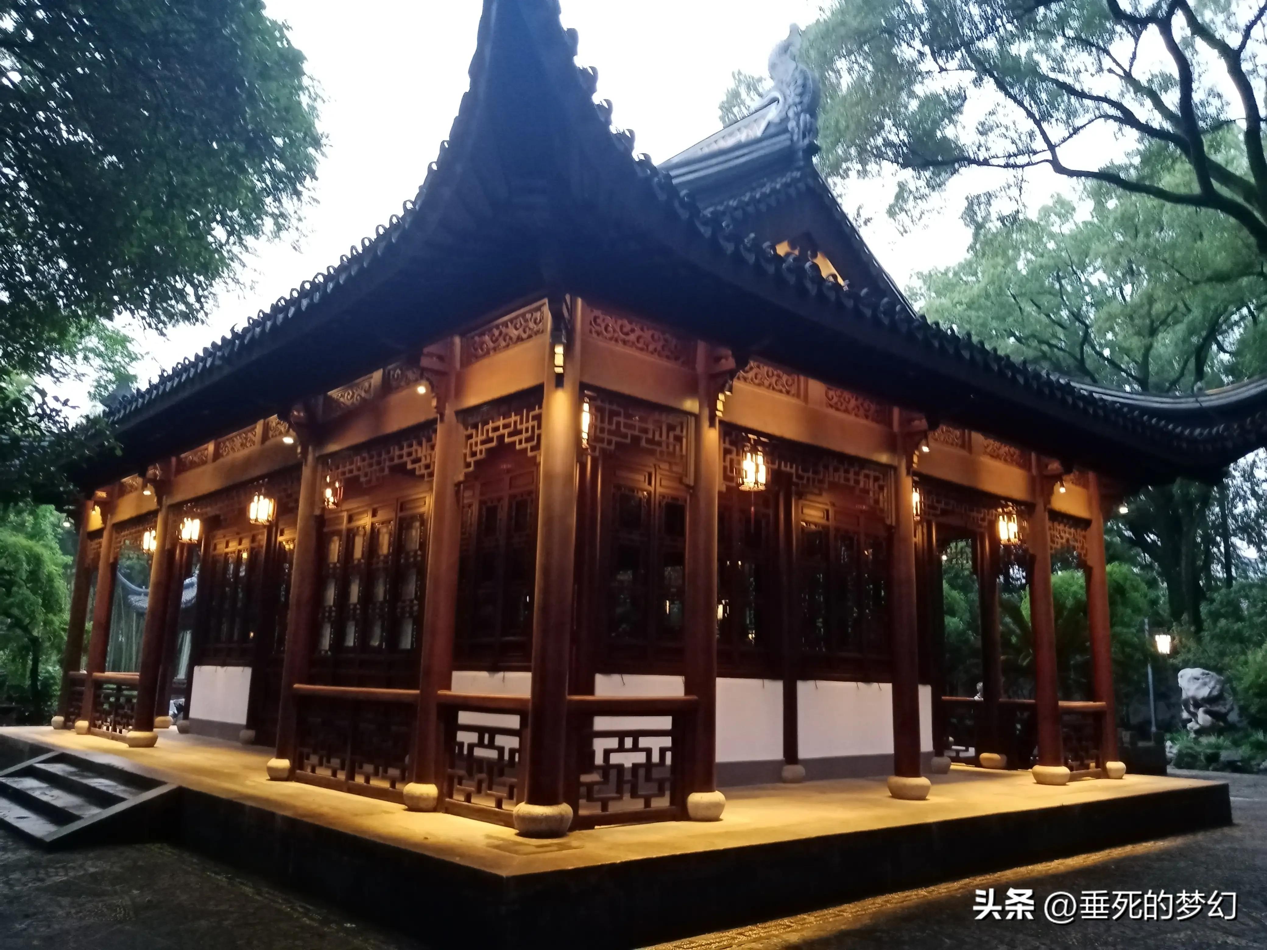 烟雨荷花情,荷花雨中